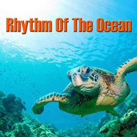 Nature Wonders - Rhythm of the Ocean