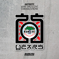 Antidote - What Time Is Love - Stan Kolev Remix