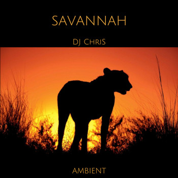 DJ Chris - SAVANNAH