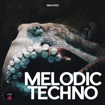 Various Artists - Melodic Techno
