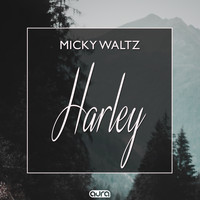 Micky Waltz - Harley