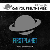 PP - Can You Feel the Vibe