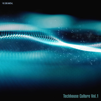Various Artists - Techhouse Culture, Vol. 1