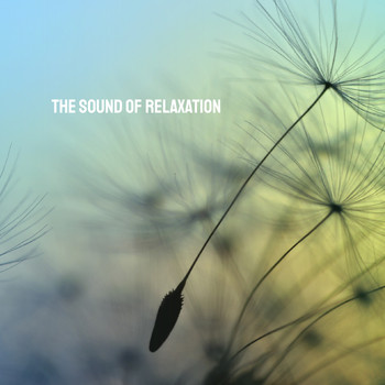 Relaxation And Meditation, Relaxing Spa Music and Peaceful Music - The Sound of Relaxation