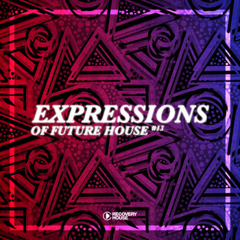 Various Artists - Expressions Of Future House, Vol. 13