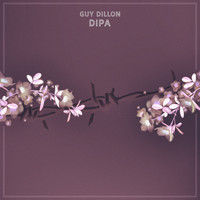 Guy Dillon - Dipa