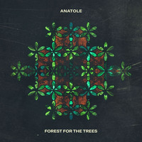 ANATOLE - Forest For The Trees