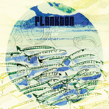 Plankton - Aroma Camel