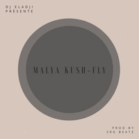 Malya Kush - Fly