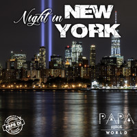 Papa DJ - Night in New York