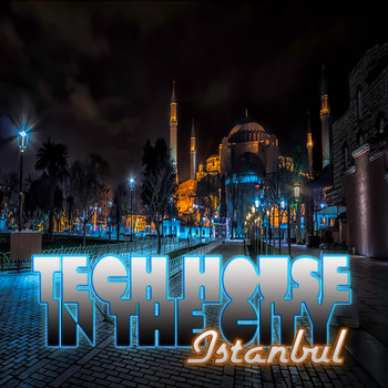 Various Artists - Tech House in the City Istanbul (BEST SELECTION OF CLUBBING TECH HOUSE TRACKS)