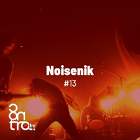 Noisenik - Noisenik #13