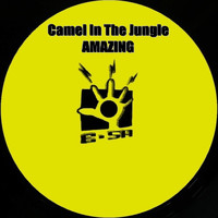 Camel In The Jungle - Amazing