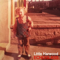 Echoglass - Little Harwood