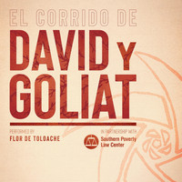 Flor de Toloache - El Corrido De David Y Goliat