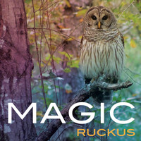 Ruckus - Magic