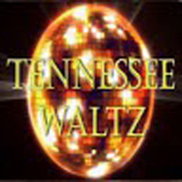 Joel Diamond - Tennessee Waltz - Country Bluegrass Disco