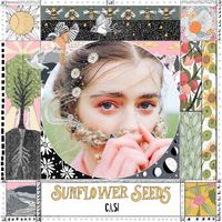 Casi - Sunflower Seeds