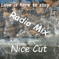 Nice Cut - Love is here to stay