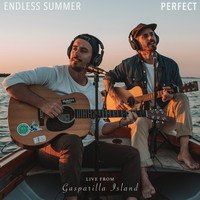 Endless Summer - Perfect (Live from Gasparilla Island)