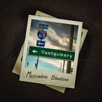 Muscadine Bloodline - Montgomery