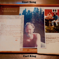 Carl King - Gnat Song