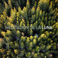 Luna Tunes and Meditación De La Luna - Meditación