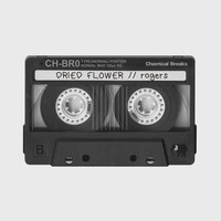 Dried Flower - Rogers