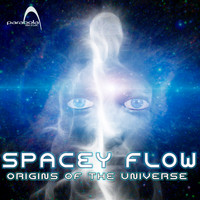 Spacey Flow - Origins Of The Universe