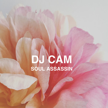 Dj Cam - Soul Assassin