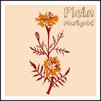 PLEIN - Color Pictures of a Marigold