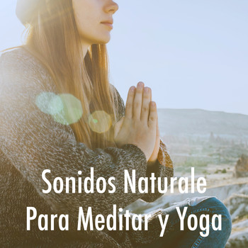 Massage, Massage Music and Massage Tribe - Sonidos Naturale Para Meditar y Yoga