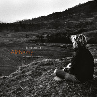 David Sylvian - Alchemy: An Index Of Possibilities (Remastered 2003)
