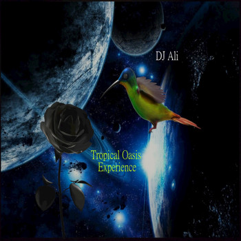 DJ ALI - Tropical Oasis Experience (Electronica Compilation)
