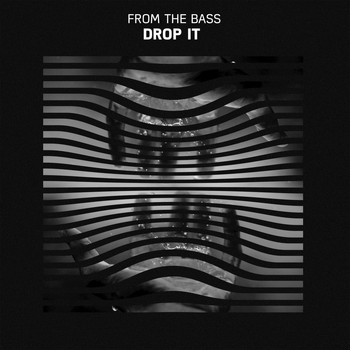 from the bass - Drop It