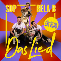 SDP - Das Lied