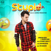 Armaan Bedil - Stupid (Remix)