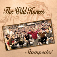 THE WILD HORSES - Stampede