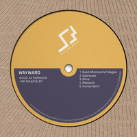 Wayward - Good Afternoon Mr Magpie EP