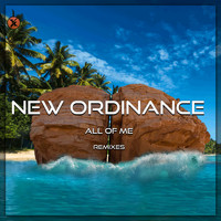 New Ordinance - All of Me (Remixes)