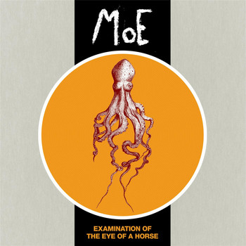 Moe - Examination of the Eye of a Horse
