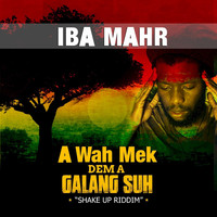 Iba Mahr - A Wah Mek Dem A Galang Suh (Shake Up Riddim)