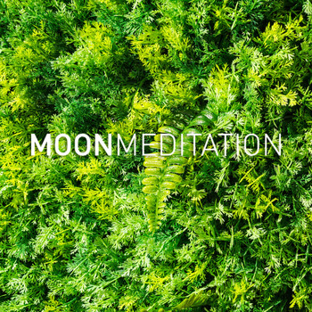 Moon Tunes and Moon Meditation - Deep Focus