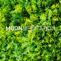 Moon Slaapmuziek, Moon Sove Musikk and Moon Schlaf Musik - Deep Focus
