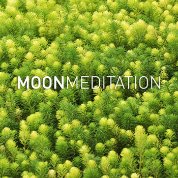 Moon Tunes and Moon Meditation - Zen Sleep