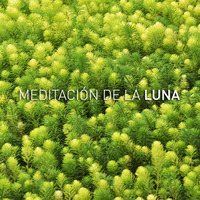 Luna Tunes and Meditación De La Luna - Zen Sleep