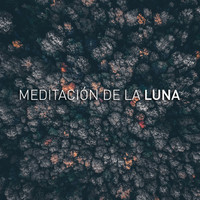 Luna Tunes and Meditación De La Luna - Yoga Music