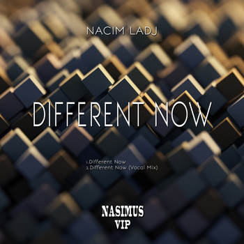 Nacim Ladj - Different Now