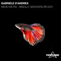 Gabriele D'Andrea - Medio Metro (Absolut Groovers Re-Edit)
