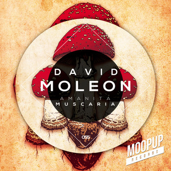 David Moleon - Amanita Muscaria